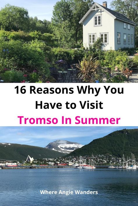 Top: a white wooden house set in gardens
Bottom: A view of snowcapped mountains, a white cathedral and boats on the sea Bucket List Holidays, Tromso Norway, Animal Experiences, Tromso, Mountain Views, Winter Clothes, Holiday Destinations, Travel Advice, Summer Travel