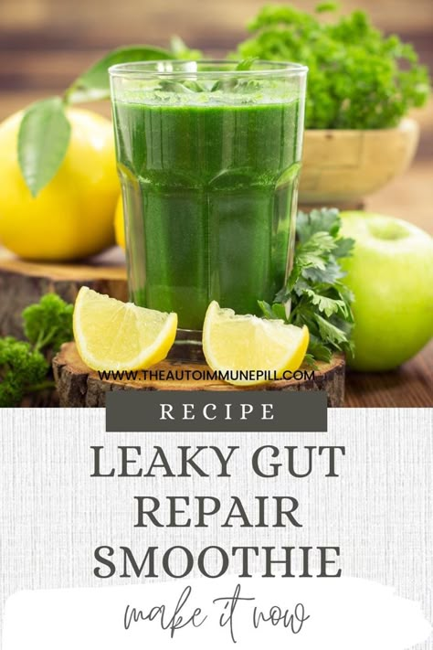 Leaky gut repair smoothie recipe Smoothies For Leaky Gut, Candida Diet Smoothie Recipes, Smoothies For Gut Healing, Healthy Gut Smoothies, Leaky Gut Smoothie Recipes, Candida Smoothie Recipes, Ag1 Recipes, Leaky Gut Breakfast Ideas, Green Smoothie Recipes For Gut Health