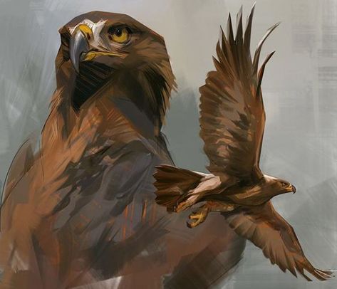 Art by Jon Kuo Hawk Fantasy Art, Golden Eagle Art, Hawk Art, Eagle Illustration, Eagle Drawing, Eagle Painting, Eagle Art, Eagle Design, Golden Eagle