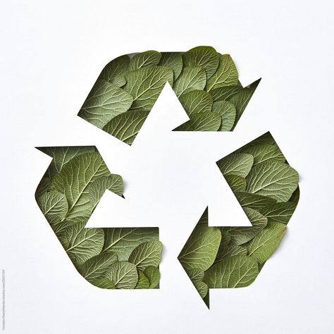 Recycle Sign, Garbage Recycling, Recycle Logo, Sustainability Projects, 동화 삽화, Photo Deco, Green Environment, Sustainable Art, Concept Board