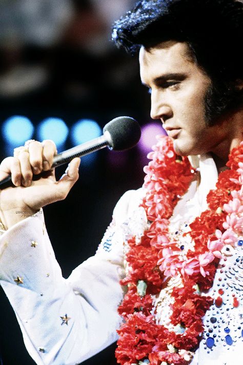 Aloha From Hawaii, 1973. Elvis Presley My Way, Elvis Aloha From Hawaii, Aloha From Hawaii, Elvis Presley Graceland, Elvis In Concert, Elvis Presley Pictures, Elvis And Priscilla, Elvis Presley Photos, Music Concert