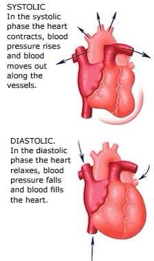 Systolic vs diastolic Systolic And Diastolic, Emt Study, Nyttige Tips, Medical Student Study, Cardiac Nursing, Nursing School Survival, Nursing School Studying, Nursing School Tips, Medical School Studying