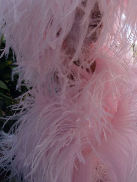 pink Ostrich feathers Pink Ostrich Feathers, Craft Feathers, Feather Fabric, Paper Lantern Lights, Flapper Era, Ostrich Feather Trim, Prom 2014, Rustic Centerpieces, Feather Crafts