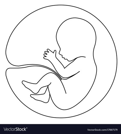 Baby In Womb Drawing, In Utero Drawing, Womb Drawing, Baby In Womb, In Utero, Pregnancy Art, Belly Painting, Baby Drawing, Outline Art