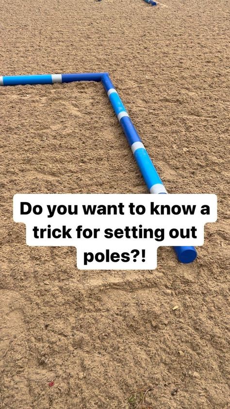 Super easy trick for setting out trot and canter poles! These are @jump4joyshowjumps standard 3m poles. This distance works for most horses 14.2hh upwards. The length of a pole is a canter stride, half a pole is a trot stride! #gifted #trotpoles #canterpoles #polework #poledancing #polework #poleworkforhorses #horse #horses #horsetraining #dressage #dressagetraining #keepitsimple #neattrick | Pole work for Horses | Tania | lostfrequencies · Original audio Pole Work For Horses, Dressage Training, Horse Clipping, Neat Tricks, Horse Training, Pole Dancing, Simple Tricks, Dressage, Super Easy