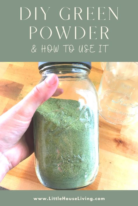 Want to add a boost of nutrition into your foods all year round? Try making your own Green Powder Blend! It's easy to make and store. Green Powder Drink, Dehydrating Food Storage, Broccoli Leaves, Preserving Vegetables, Super Greens Powder, Greens Powder, Dehydrated Vegetables, How To Make Greens, Dehydrated Fruit