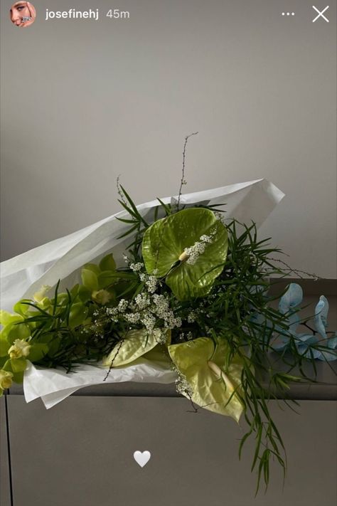 Instagram story ideas influencer aesthetic inspiration low exposure flowers Green Bouquet Aesthetic, Bouquet Aesthetic, Josefine H J, Green Bouquet, A Bouquet Of Flowers, Flower Therapy, Bouquet Of Flowers, Little Flowers, Flowers Nature