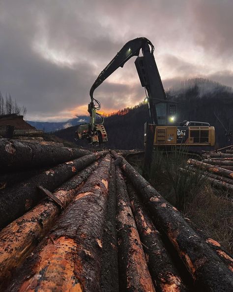 Timber & Grit on Instagram: “⁣By far the most common question I get asked is; “How do I get started in the logging industry?” ⠀ ⠀ Generally my advice is the same. You…” Old Logging Pictures, Logging Aesthetic, Timber Aesthetic, Rafe Aesthetic, Green Pallet, Logging Camp, Oregon Style, Forest Vibes, Natural Crafts