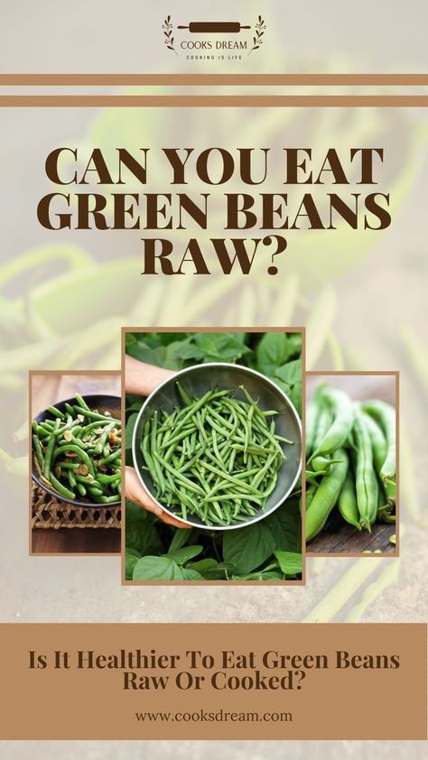 Green Bean Benefits, Raw Green Bean Recipes, Benefits Of Green Beans, Marinated Green Beans, Green Beans Benefits, Green Bean Recipes Healthy, Fresh Green Bean Recipes, Beans Benefits, Canned Green Beans