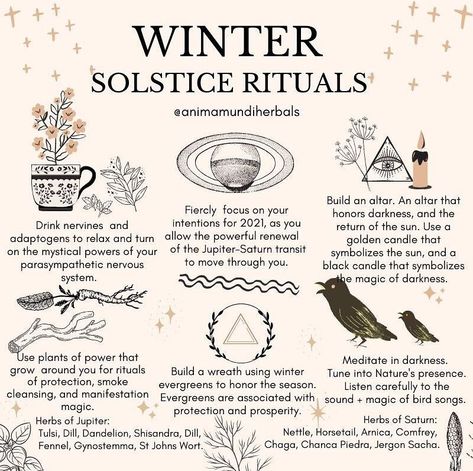 A N I M A M U N D I Apothecary on Instagram: “This solstice weekend is quite an astronomical spectacle! The age of Aquarius is here ✨Jupiter enter aquarius, to join Saturn 🪐 TODAY…” Solstice Traditions, Winter Solstice Rituals, Winter Solstice Party, Winter Solstice Traditions, Winter Solstice Celebration, Solstice Party, Solstice Celebration, Witch Tarot, Wiccan Magic