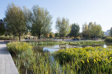 Martin Luther King Park by Atelier Jacqueline Osty & associes «  Landscape Architecture Works | Landezine Evergreen Bush, Wetland Park, Piscina Natural, Kings Park, Easy Landscaping, Rain Garden, Landscaping Tips, Landscape Projects, Contemporary Landscape