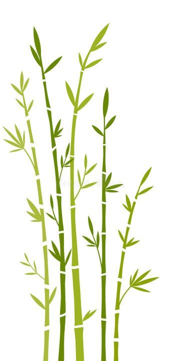 Bamboo stock vector. Illustration of branch, pink, background - 6343727 Bamboo Illustration, Bamboo Vector, Bamboo Drawing, Bamboo Painting, Trees Illustration, Bamboo Trees, Element Illustration, School Murals, Leaf Border