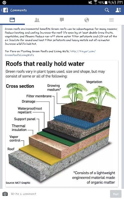 Roofs that hold water: reduce heating and cooling costs, increase life of roof, and create a rooftop garden! Would be great on a shipping container home, as there might be a risk of collapsed roof otherwise if drainage isn't sufficient. Living Roofs, Roof Architecture, Green Architecture, Earthship, Rooftop Garden, Eco House, House Roof, Roof Garden, Sustainable Architecture