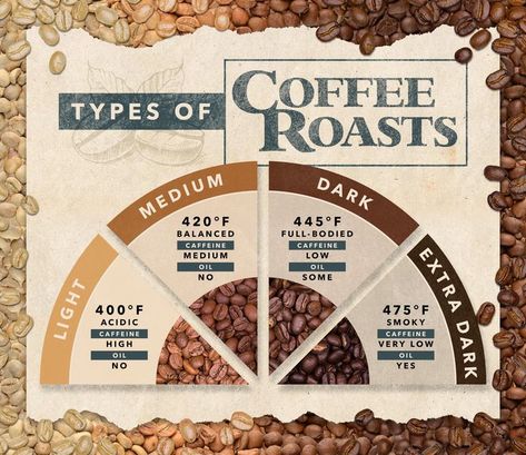 Infographic showing different types of coffee roasts. Coffee Shop Supplies, Coffee Roasting Process, Coffee Advertising, Coffee Infographic, Light Roast Coffee, Coffee Facts, Medium Roast Coffee, Dark Roast Coffee, How To Order Coffee