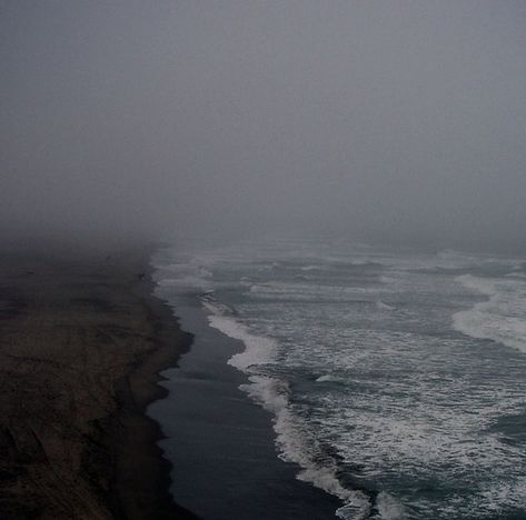 Dark Summer, Twilight Photos, Giant Tree, I Love The Beach, Ocean Vibes, Beach Aesthetic, Blue Aesthetic, Dark Aesthetic, Lighthouse