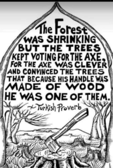 teresa blake on Twitter: "https://t.co/SqEgdFTI6i" / Twitter Made Of Wood, The Forest, Proverbs, That Way, Wise Words, Words Of Wisdom, Trees, Forest, Thing 1