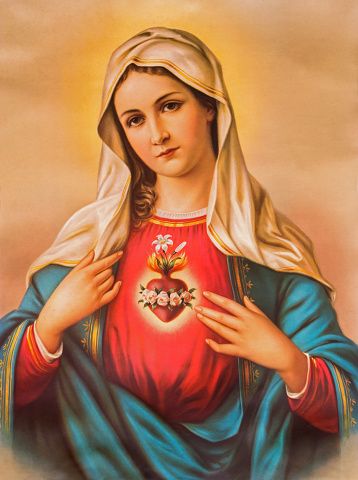 The Heart of Virgin Mary - Typical catholic image stock photo Mother Mary Wallpaper, Immaculate Mary, Catholic Pictures, Mama Mary, Catholic Images, Religious Painting, Divine Mother, Blessed Mother Mary, Heart Painting