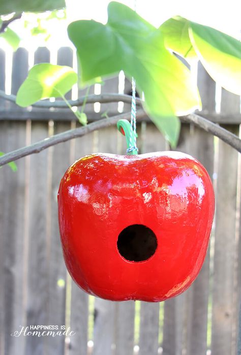 Apple Gourd, Bird Houses For Sale, Gourd Birdhouses, Diy Apple, Gourds Birdhouse, Decorative Gourds, Terra Cotta Pot Crafts, Happiness Is Homemade, Hand Painted Gourds