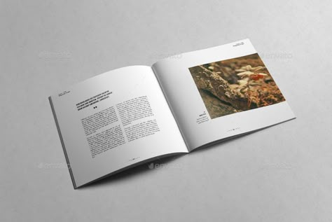 Square Book Layout Design Inspiration, Square Page Layout, Square Magazine Design, Square Book Layout Design, Square Book Cover Design, Square Portfolio Layout, Square Booklet Design, Square Magazine Layout, Square Book Design