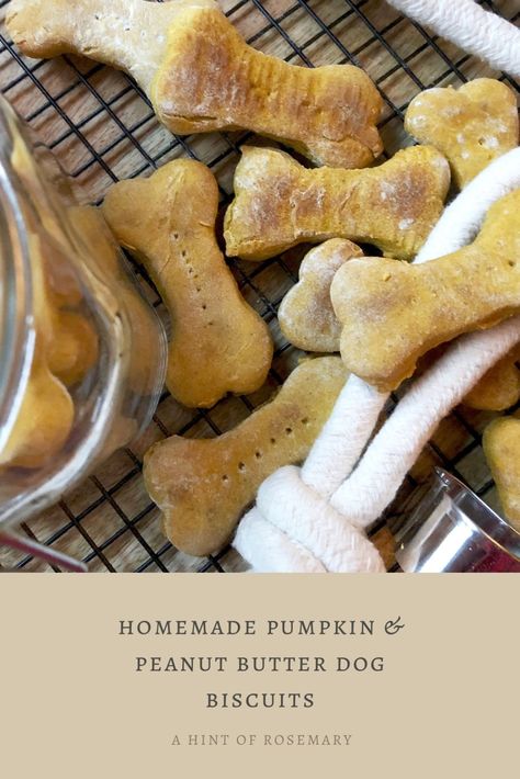 homemade pumpkin  peanut butter dog biscuits – a hint of rosemary Homemade Dog Treats Grain Free, Pumpkin Dog Biscuits, Peanut Butter Dog Biscuits, Pumpkin Peanut Butter, Dog Treats Homemade Easy, Dog Biscuit Recipes, Healthy Dog Treats Homemade, Peanut Butter Dog Treats, Peanut Butter Pumpkin