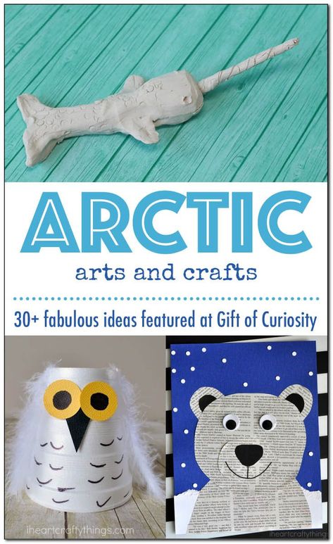 Arctic animal arts and crafts | 30+ fabulous ideas for kids to make polar bears, orcas, walruses, Arctic foxes, snowy owls, narwhals, puffins, caribou, harp seals and beluga whales || Gift of Curiosity Polar Animals Preschool, Arctic Animals Crafts, Arctic Foxes, Beluga Whales, Snowy Owls, Whale Gift, Animal Art Projects, Polar Animals, Winter Crafts For Kids