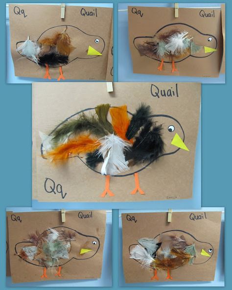 www.rainbowswithinreach.blogspot.com Quail Preschool Craft, Mana And Quail Craft, Quail Craft, Q Is For Quail, Letter Q Crafts, Zoo Phonics, Abc Crafts, Preschool Letter, Letter Crafts