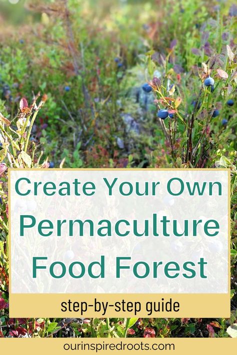 on image text - create your own permaculture food forest - step by step guide How To Build A Food Forest, Permaculture Garden Design Layout, Food Garden Layout, Permaculture Garden Design, Backyard Permaculture, Food Forest Design, Permaculture Food Forest, Permaculture Farming, Forest Gardens