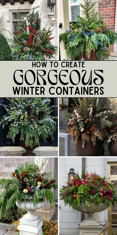 Your guide to winter container ideas is here! Decorating with plants and foliage is possible, even in the winter. Here are tons of ideas and inspiration to help you create stunning winter containers that will make your home festive this season. Outdoor Xmas Planter Ideas, Xmas Planter Ideas, Winter Plant Pot Ideas, Winter Pots Outdoor Front Doors Modern, Winter Outside Decor Pots & Planters, Fall And Winter Planter Ideas, Outdoor Winter Arrangements Planters, Outdoor Christmas Urn Fillers, Christmas Boughs Decorating Ideas