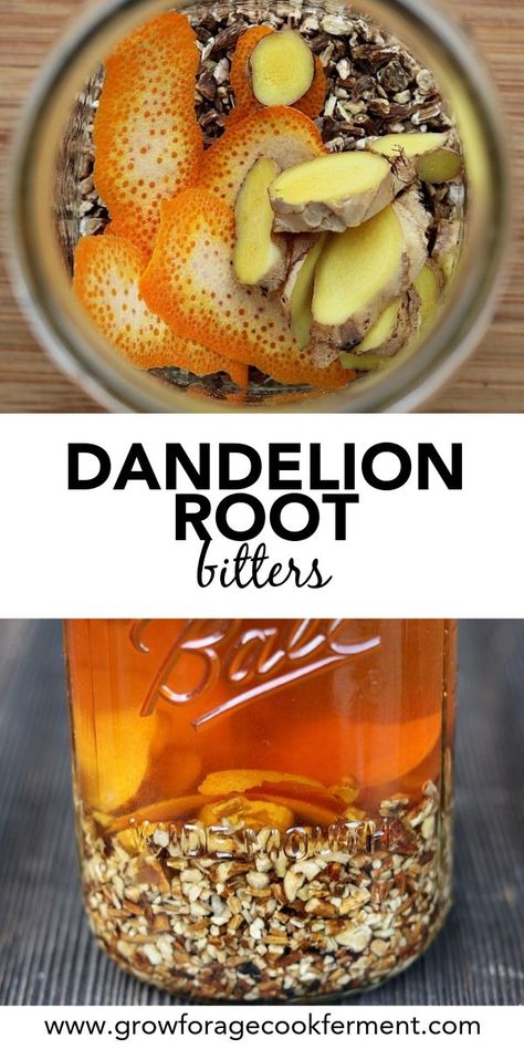 Dandelion root bitters is an easy alcohol infusion to make at home. Bitter herbs are useful in digestion, and a perfect in an aperitif cocktail. They increase the digestibility of food and are also calming to the nervous system. Bonus - they are delicious in cocktail form! Drink a small amount before a meal to stimulate digestion, or add a bit to a fancy cocktail for a different flavor. Learn how to make this herbal dandelion root bitters. #dandelion #herbalism #infusion #bitters #aperitif #fall Herbal Bitters Recipe, Dandelion Root Benefits, Date Drinks, Aperitif Cocktails, Bitter Herbs, Alcohol Infusion, Bitters Recipe, Foraging Recipes, Fermentation Recipes