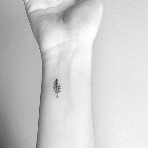 Pine tree tattoo on the wrist. Tree Tattoo Side, Pine Tattoo, Tattoo On The Wrist, Luna Tattoo, Tree Tattoo Small, Pine Tree Tattoo, Tree Tattoo Designs, 4 Tattoo, Initial Tattoo