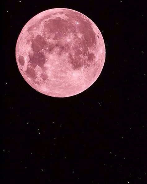 Mark your calendars friends because there will be a full PINK moon over #Ontario skies this month! Full Pink Moon, Pink And Black Wallpaper, Pink Goth, Pink Photo, Pastel Pink Aesthetic, Pink Moon, Pink Vibes, Pink Themes, Beautiful Moon