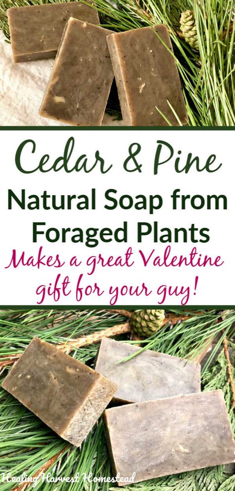 Cedar & Pine Handmade Soap Recipe for Your Manly Man: (An Easy, Natural Soap to Make in Your Crockpot!) — All Posts Healing Harvest Homestead Homemade Soap Recipe, Men Soap, Natural Soaps Recipes, Easy Soap Recipes, Diy Soap Recipe, Herbal Soap, Handmade Soap Recipes, Herbs Garden, Manly Man