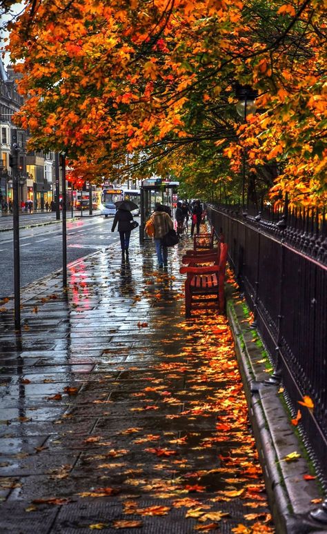 Princes street, Edinburgh, in the rain City Rain, Rain Wallpapers, Autumn Rain, Autumn Scenes, Autumn Scenery, Autumn Beauty, Fall Pictures, Rain Photography, Autumn Cozy