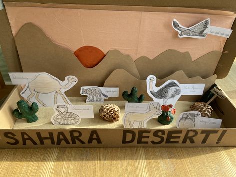 Sahara Desert Diorama, Desert Project For School, Desert Habitat Projects For Kids, School Diorama, Desert Crafts, Desert Project, Ali Project, Desert Diorama, Biomes Project