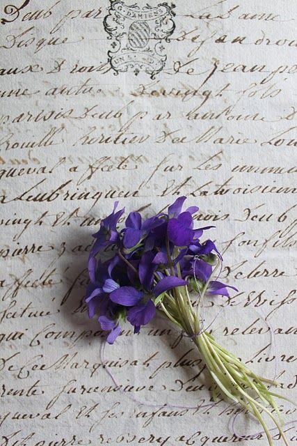 photo by Laura at 52 Flea All The Bright Places, Color Lavanda, Old Letters, Sweet Violets, Royal Colors, All Things Purple, Shades Of Purple, Pansies, Love Letters