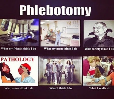 Phlebotomy Humor, Phlebotomy Study, Medical Laboratory Science Student, Lab Humor, Hospital Humor, Lab Week, Healthcare Humor, Job Humor, Medical Laboratory Science