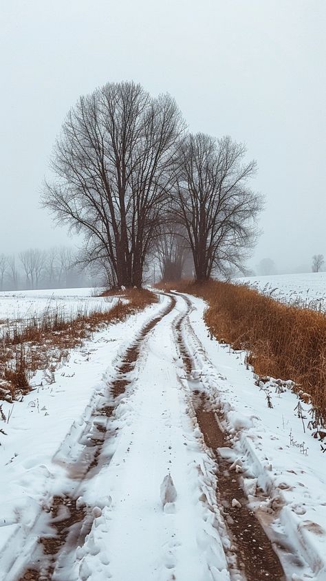 "Snowy Country Road: A tranquil snowy country road winds between bare #nature and frosted #landscape on a foggy winter day. #snowdrifts #photography #scenery #travel #passtime ⬇️ Download and 📝 Prompt 👉 https://stockcake.com/i/snowy-country-road_1028351_331478". Snowy Village Aesthetic, Winter Scenes Photography, Snowy Aesthetic, Foggy Winter, December Aesthetic, Snowy Road, Photography Scenery, Winter Landscape Photography, Country Winter