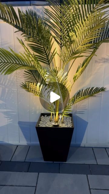 Emilia Aquino | Always Stylish Home on Instagram: "Comment SHOP for a link!   Counting the days until summer! These realistic palm trees are in stock and on sale!   These outdoor palm trees are so realistic and add such a tropical vibe to our patio! We added hardwired up lights to accent the trees that are set to a timer. You can always use solar up lights if hardwired aren’t an option! We used marble chips to fill the planters so that they wouldn’t blow over.  🔗 comment SHOP for a direct link or click the link in my bio 🤍 follow @alwaysstylish_home for more home decor and design inspo ✨ LIKE, SAVE & SHARE this post for more inspo  #HomeDecorInspiration #outdoorliving  #homeinfluencer #HomeStagingInspo  #LTKhome #modernorganic  #Itkhome #neutralhome #neutralhomedecor #amazonfinds #amazon Palm Tree By Pool, Palm Tree Patio Decor, Artificial Trees Outdoor Patio, Backyard Patio Plant Ideas, Palm Tree Planters Outdoor, Tropical Deck Ideas, Potted Palm Trees, Fake Palm Tree, Outdoor Topiary