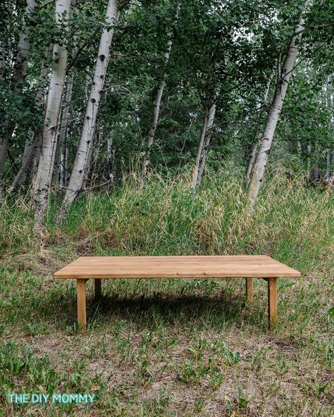 Build a Simple DIY Boho Picnic Table (Low Profile) | The DIY Mommy Beach Picnic Table Diy, Diy Beach Picnic Table, Diy Low Picnic Table Outdoor Dining, Diy Folding Picnic Table, Diy Picnic Table Low, Low Profile Picnic Table, Floor Table Diy, Diy Kids Table For Party, Diy Kids Party Table