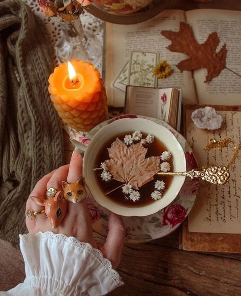 November Aesthetic, Cottagecore Living, Autumn Witch, Anniversary Shoot, Leaves Falling, Autumn Tea, Autumn Family Photos, Autumn Actvities, Autumn Leaves Photography