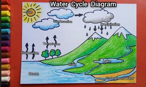 Learn Step by step Water Cycle drawing. Water Cycle Chart, Water Cycle Drawing, Water Cycle Craft, Water Cycle For Kids, Water Cycle Poster, Water Cycle Project, Water Cycle Diagram, Save Water Poster Drawing, Cycle Drawing