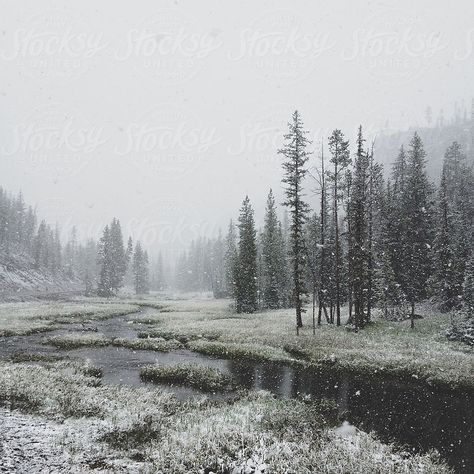 Snow Is Falling, Snow Falling, Snowy Forest, Winter Scenery, Forest River, Winter Aesthetic, Nature Aesthetic, Winter Landscape, Pretty Places