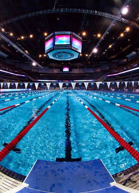 Olympic Pool Aesthetic, Swimming Pool Competition, Swimming Pool Olympic, Swimming Olympics Aesthetic, Olympic Swimmer Aesthetic, Olympic Trials Swimming, Competitive Swimming Aesthetic, Swimming Pool Sport, Swimming Olympics