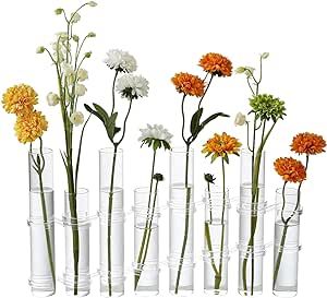 Dinyeo Hinged Flower Vase Different Heights Clear Cylinder Glass Test Tube Propagation Station Test Tube Propagation, Bud Vases Flowers, Test Tube Vase, Propagation Station, Container Office, Hydroponic Plants, Test Tubes, Bookshelf Desk, Vase Centerpieces