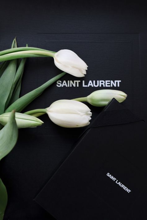 Ysl Logo Aesthetic, Ysl Aesthetic Men, Ysl Photoshoot, Ysl Vibes, Black Green Aesthetic, Ysl Party, Yves Saint Laurent Aesthetic, Saint Laurent Aesthetic, Ysl Aesthetic