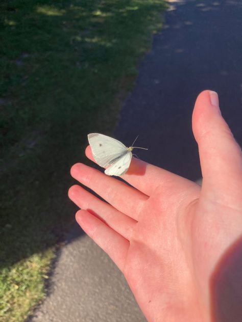 A butterfly landed in my hand so i took a pic Butterfly On Hand, Hand Pic, Couples Poses, Couples Poses For Pictures, A Pic, A Butterfly, Poses For Pictures, Couple Posing, Silver Rings