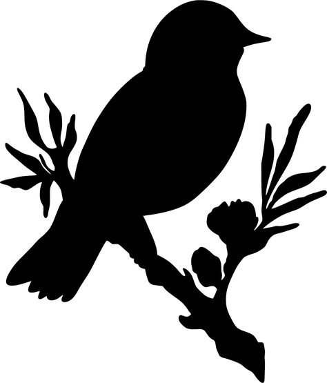 SVG > bird branch flower - Free SVG Image & Icon. | SVG Silh Vogel Silhouette, Bird Branch, Bird Stencil, 카페 인테리어 디자인, Silhouette Stencil, Bird Silhouette, Animal Silhouette, Stencil Patterns, Bird On Branch