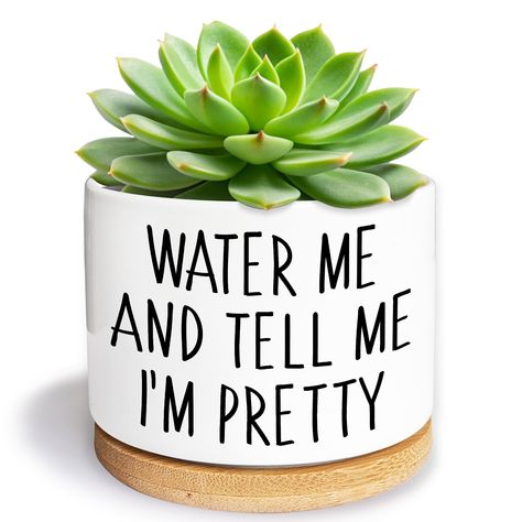 PRICES MAY VARY. 【 Small Ceramic Plant Pots】 - Perfect for holding miniature succulent, herb and cactus plants. --- Plants are NOT included. 【Dimension】 - 3.5*2.8 inches. A small Drain Hole on the Bottom; Pack with Bamboo Tray. 【 Funny Quotes Design】 - Ideal for windowsill and office table decoration; Perfect Gift for Wedding, Birthday, Christmas, housewarming, Mother's Day gift, etc. 【Exquisite Workmanship】 - Created with sturdy ceramic & handmade printing, A mature manufacturing process. Exper Small Pot Painting Ideas, Funny Planters, Funny Plant Pots, Plant Sayings, Plant Mug, Painted Pot, Plant Pot Design, Plant Stakes, Pot Design