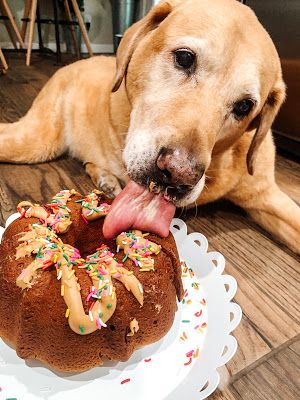 Peanut Butter Dog Cake, Dog Birthday Cake Recipe, Dog Cake Recipes, King Cake Recipe, Pet Treats Recipes, Peanut Butter For Dogs, Dog Biscuit Recipes, Easy Dog Treats, Healthy Dog Treats Homemade