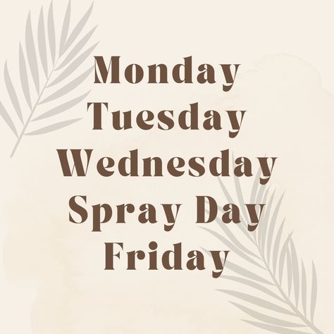 Thursday is the best day to get a spray tan for the weekend! Thursday Spray Tan Quotes, Spray Tan Thursday, Spray Tan Graphic, Spray Tan Sayings, Spray Tan Pictures, Spray Tan Advertising Ideas, Spray Tan Post Ideas, Esthetics Branding, Bronzed Brunette